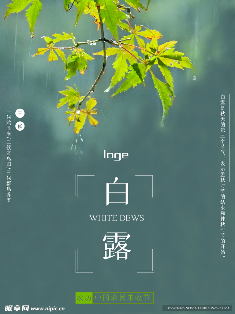 白露