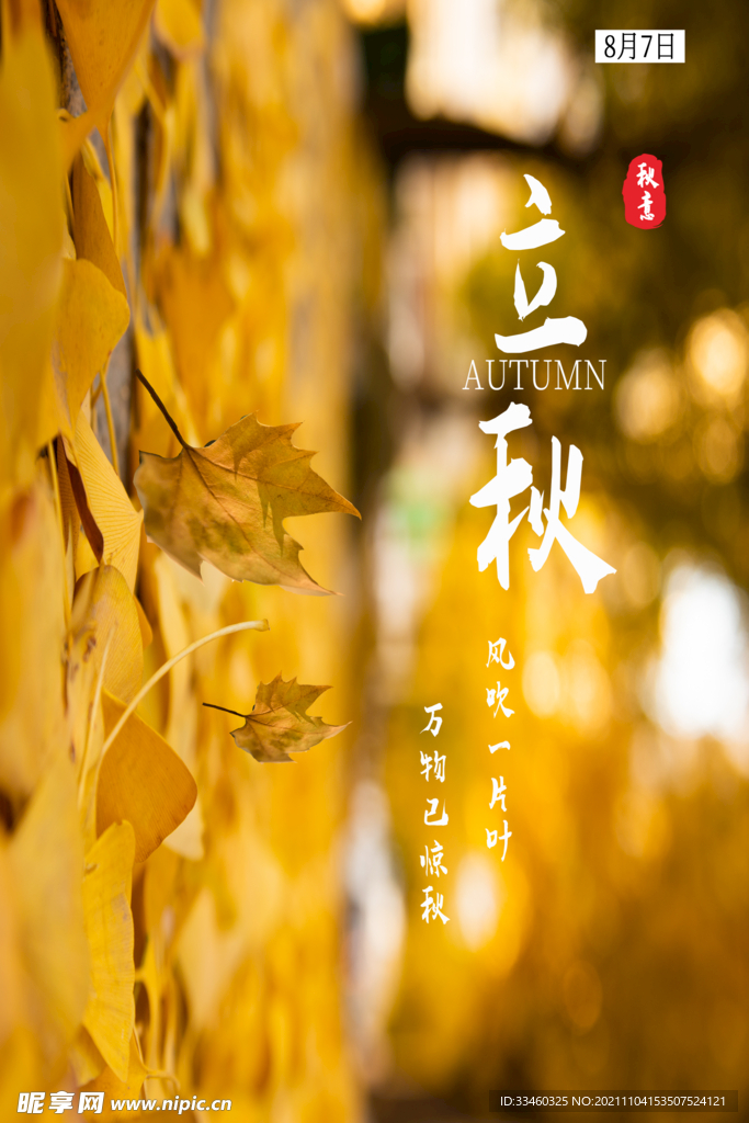 立秋