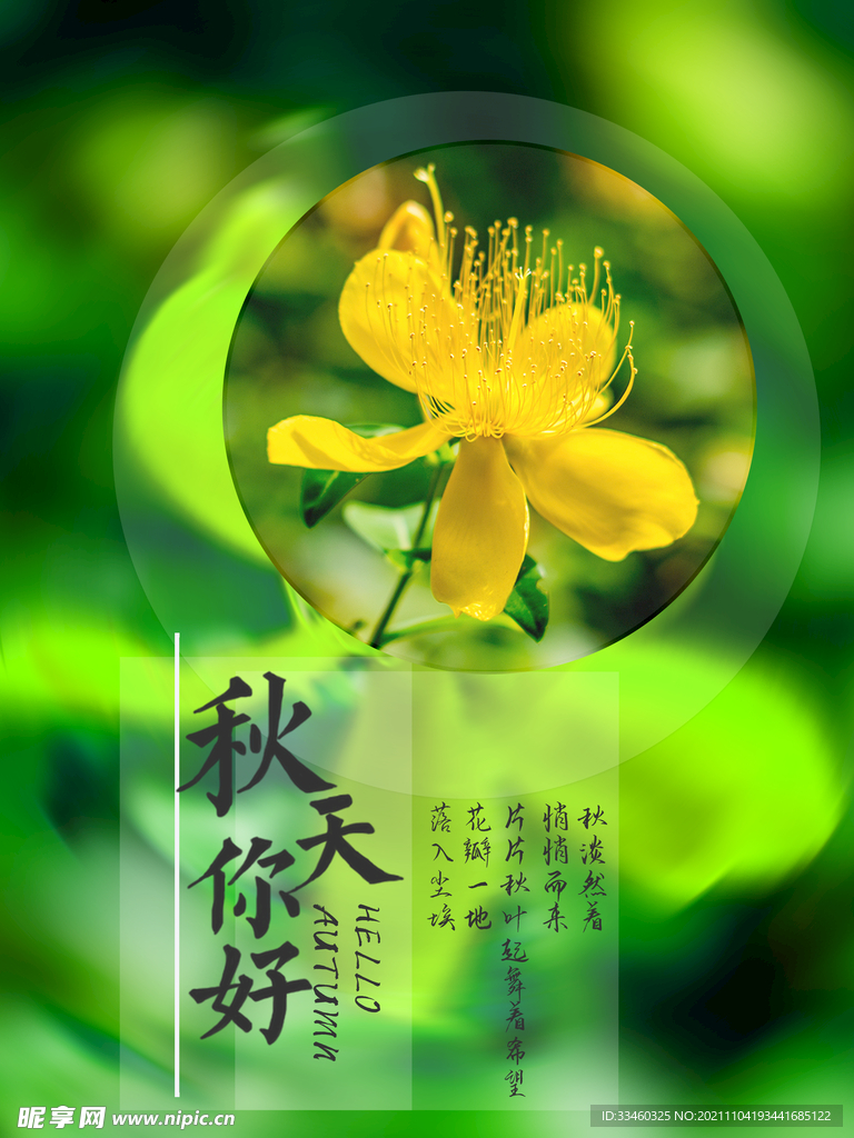 秋天你好