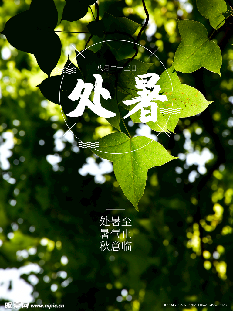 处暑