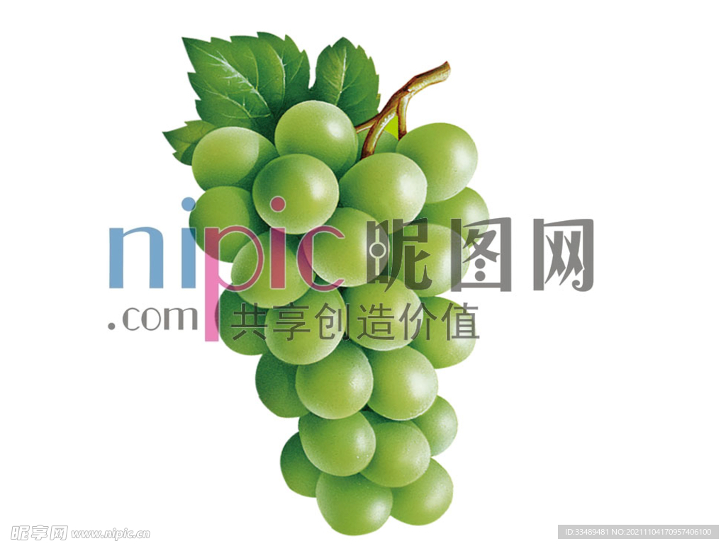 阳光玫瑰