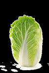 白菜