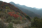 嵩山秋景