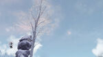 小寒飘雪桌面壁纸