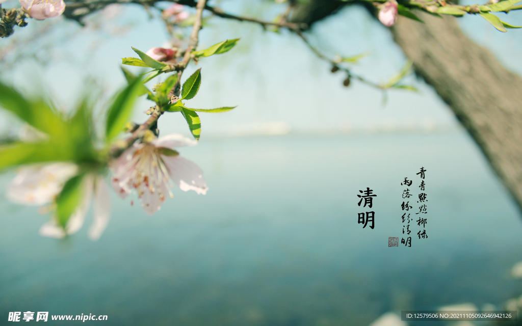 清明桃花桌面壁纸