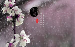 清明桃花桌面壁纸