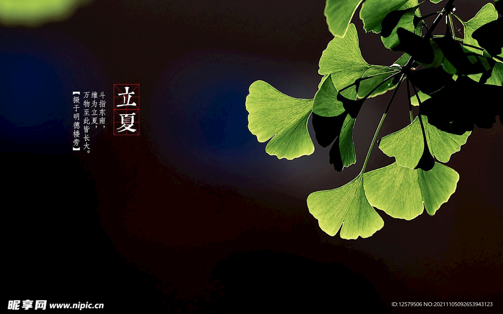 黑背景银杏桌面壁纸