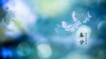 春分梦幻桌面壁纸