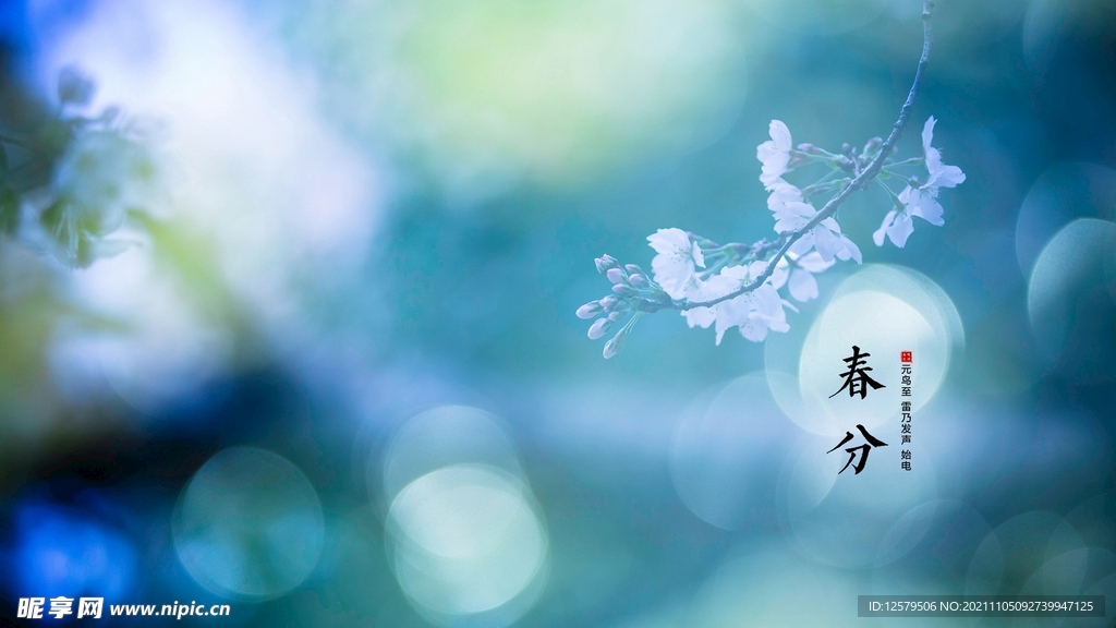 春分梦幻桌面壁纸