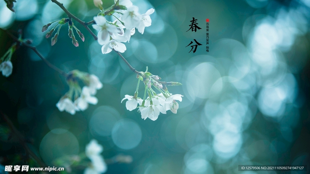 春花桌面壁纸