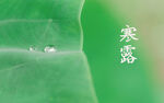绿叶水滴桌面壁纸