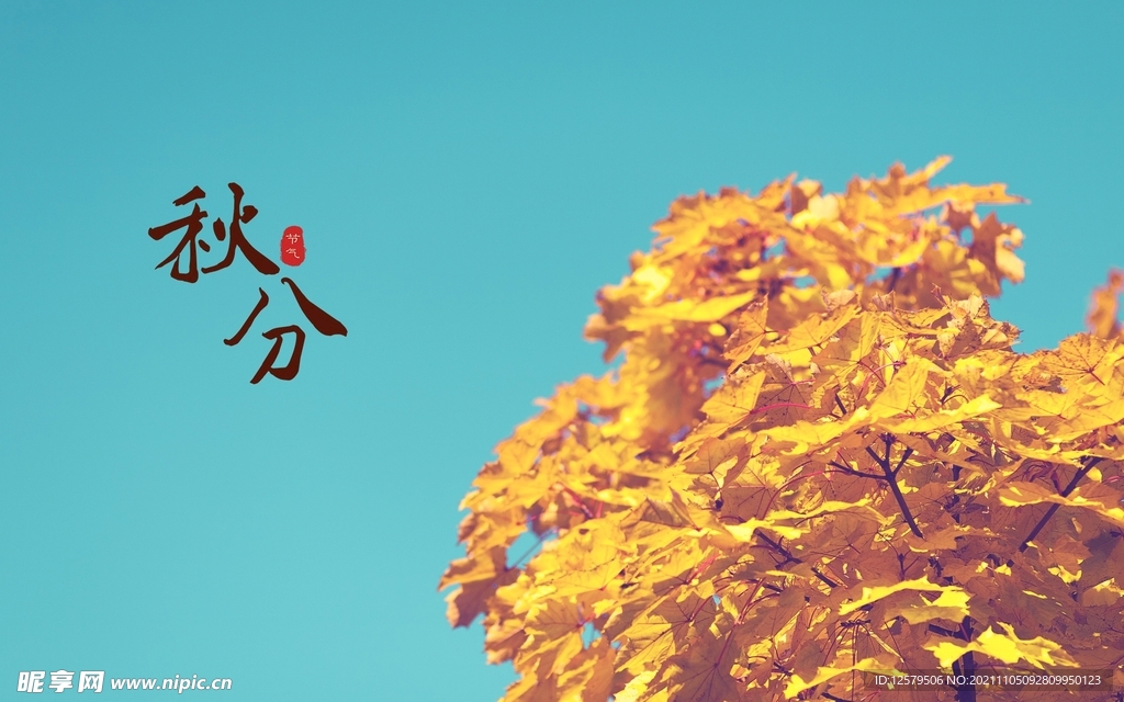 秋天黄叶桌面壁纸