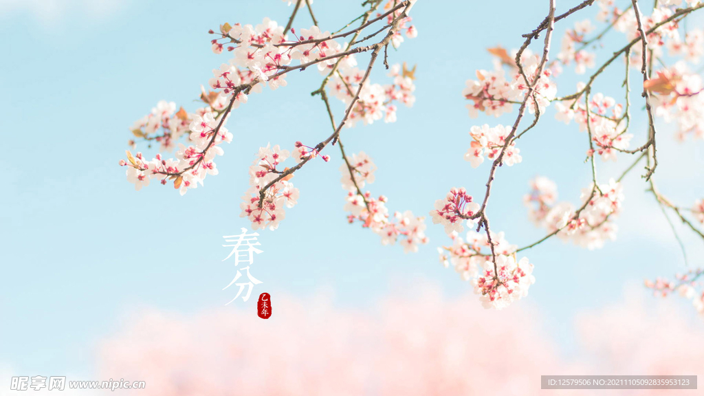 花枝招展桌面壁纸