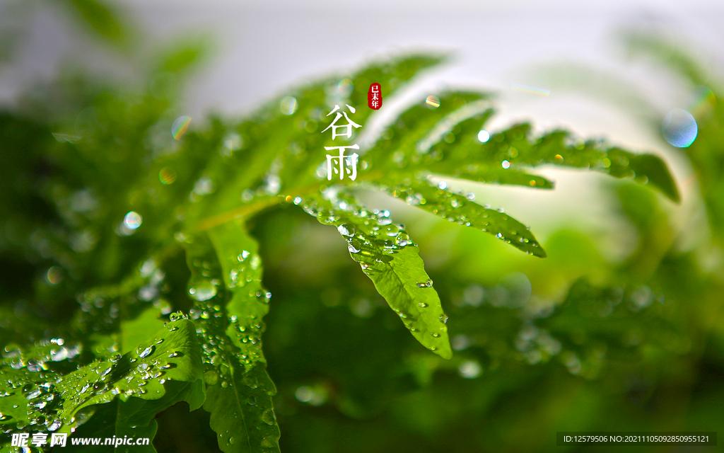 桌面壁纸 背景 节气 1920
