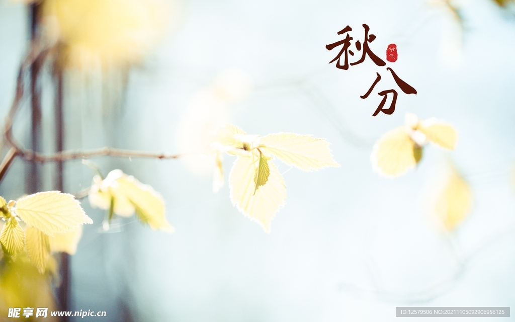 桌面壁纸