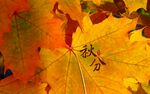 桌面壁纸