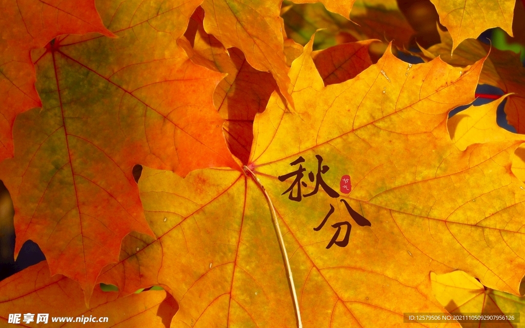 桌面壁纸
