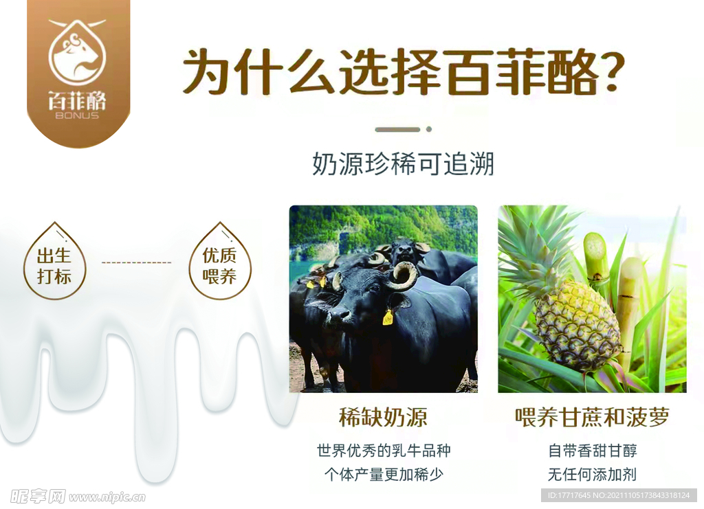 百菲酪