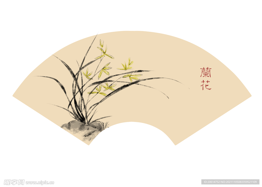 兰花