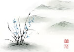 兰花