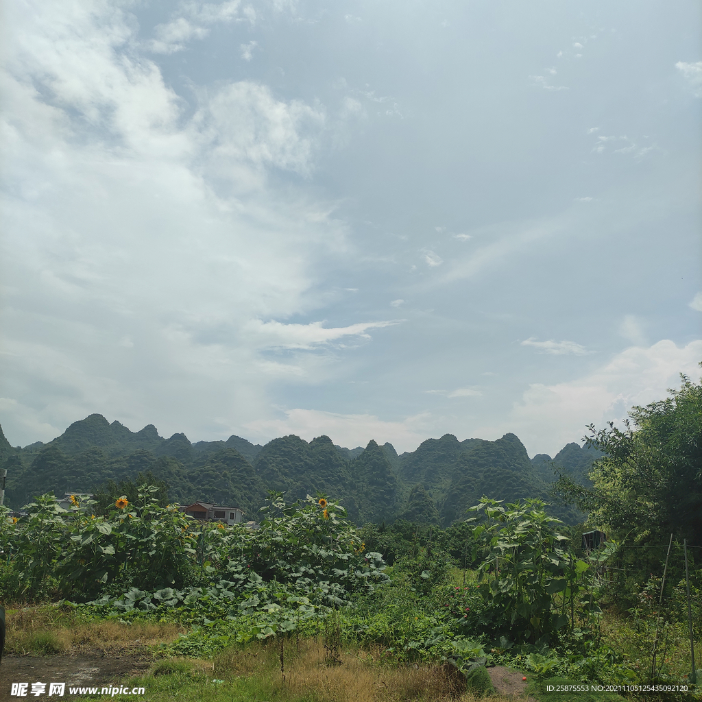 大山
