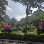 山