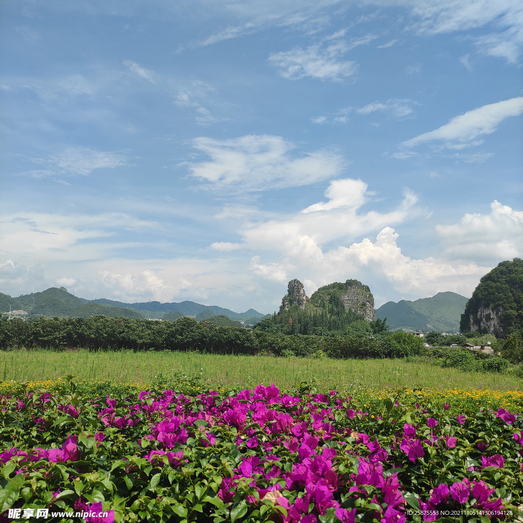 景区