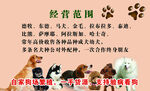 狗狗名片