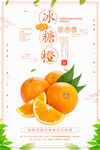 橙子1