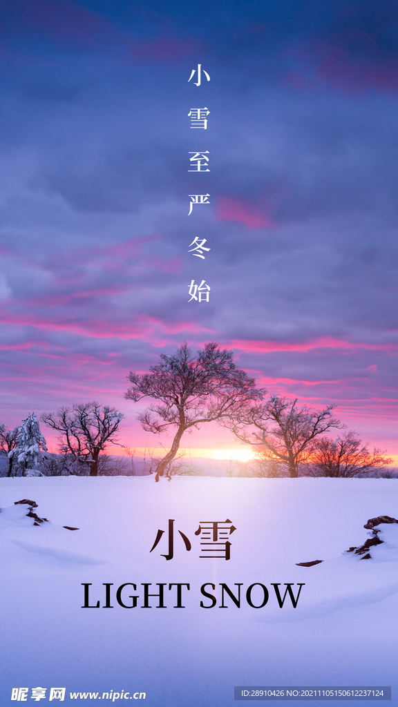 冬季小雪节气海报