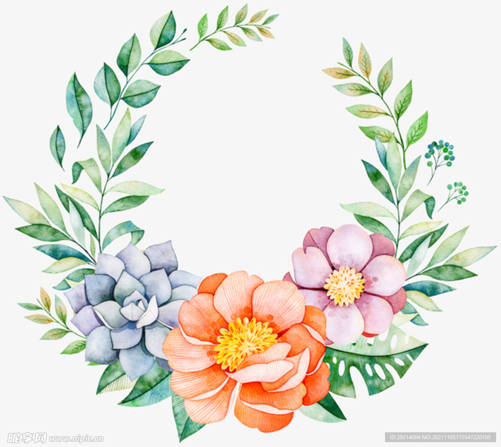 插画植物手绘花