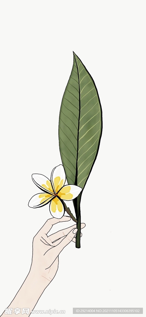 绿色植物插画手绘