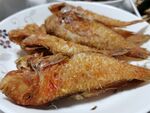 香煎红衫鱼