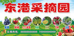 东港采摘园 喷绘布 九九草莓