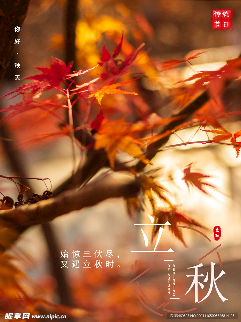 立秋