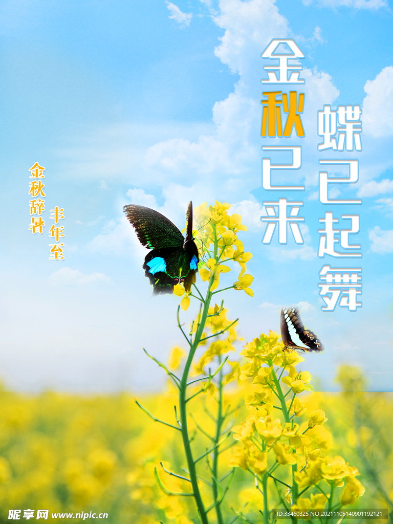 金秋