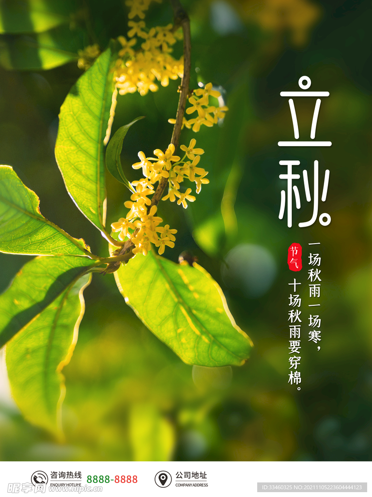 立秋
