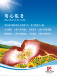 企业文化