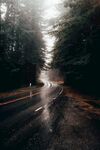 雨后湿漉漉的公路