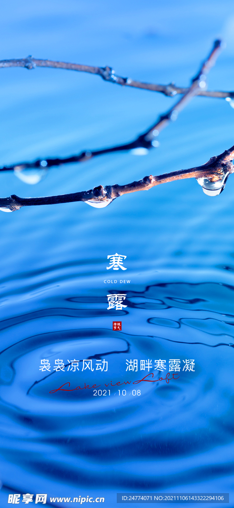 寒露 微信稿