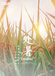处暑