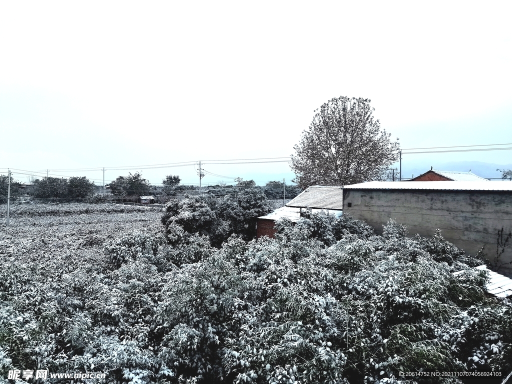 美丽的乡村雪景