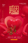 感恩节