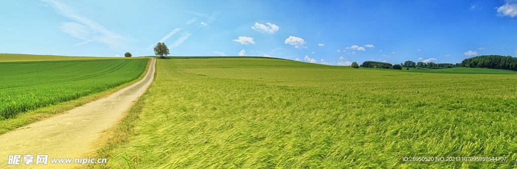 风景