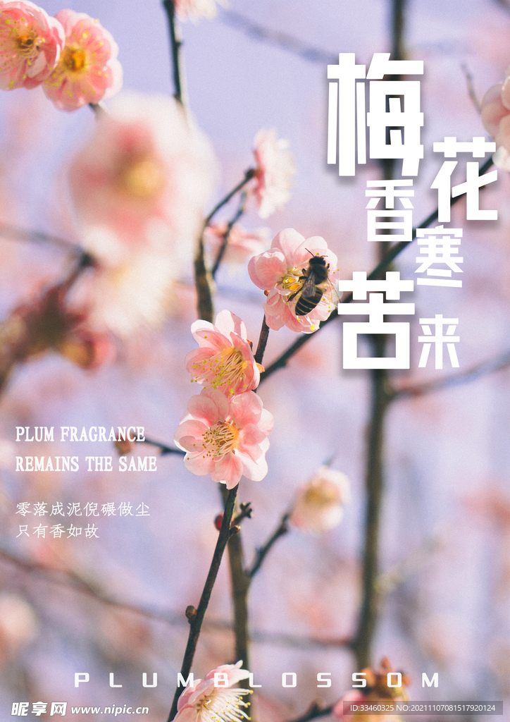 梅花