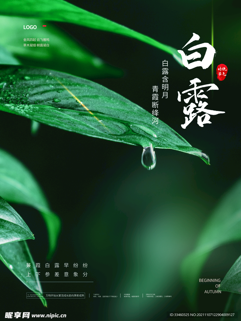 白露