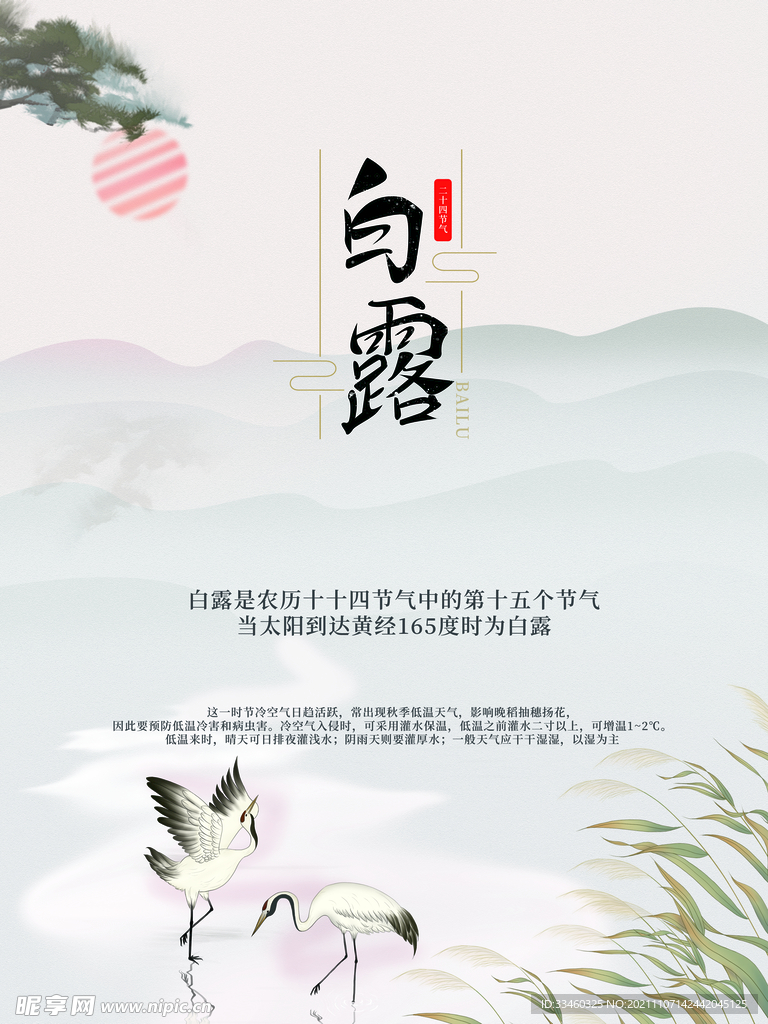 白露