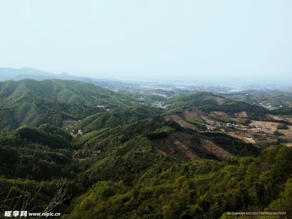 青山