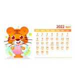 手绘卡通新年虎年老虎日历5月