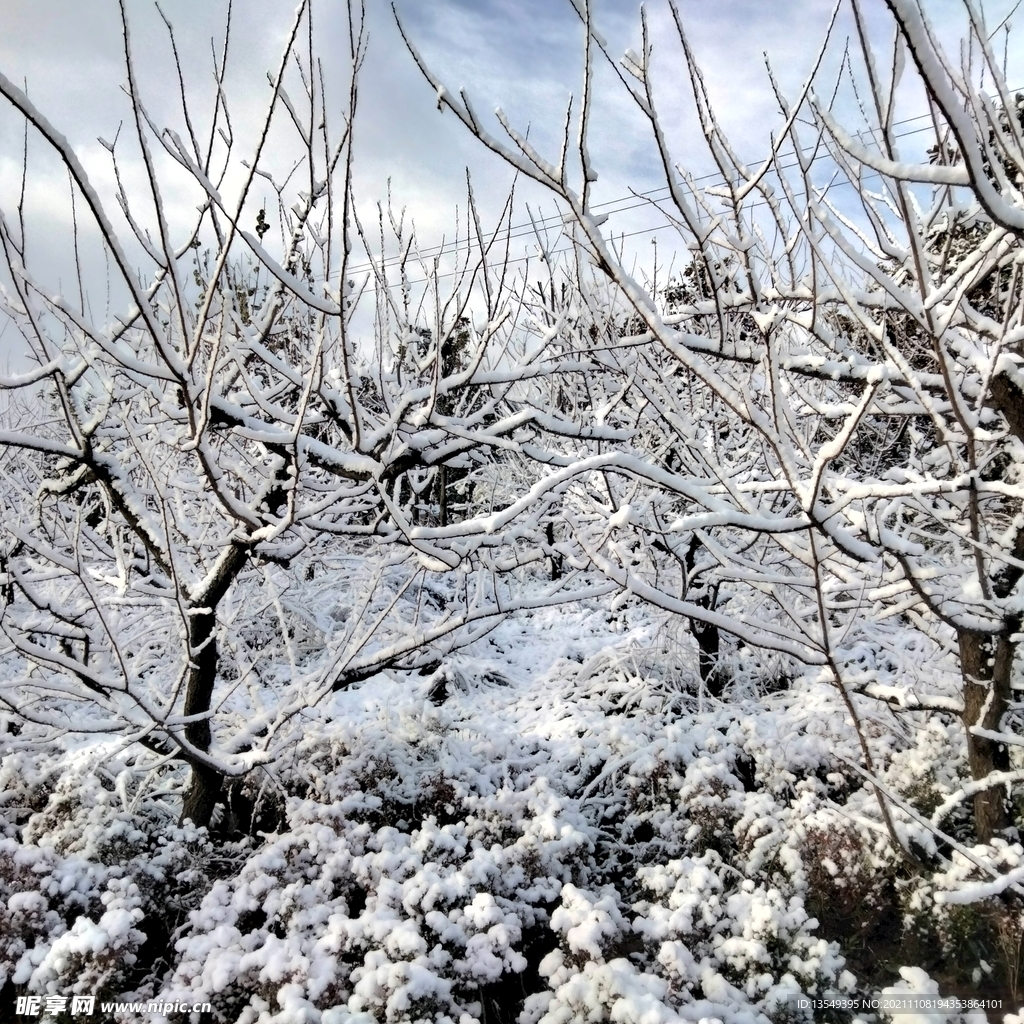 雪景